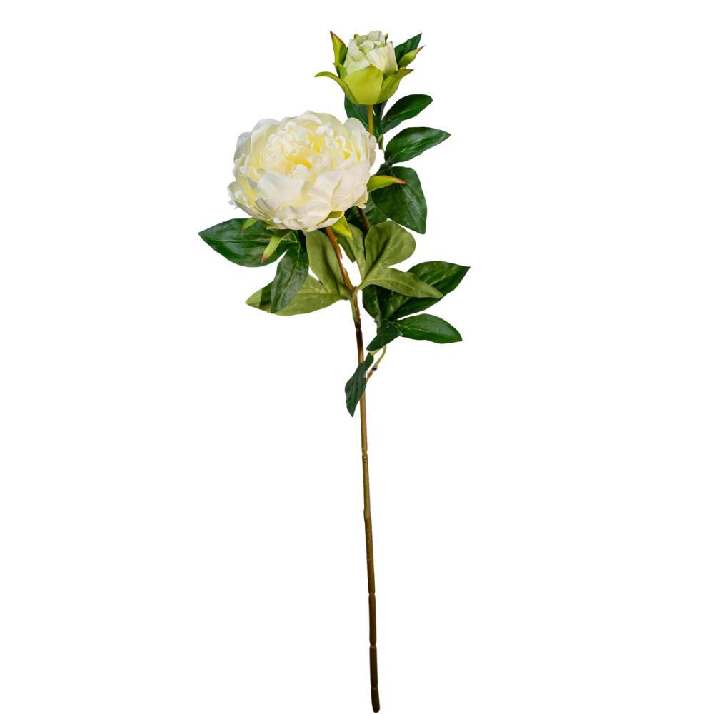 PEONIA SPRAY 1F 1B CM.70 CREMA