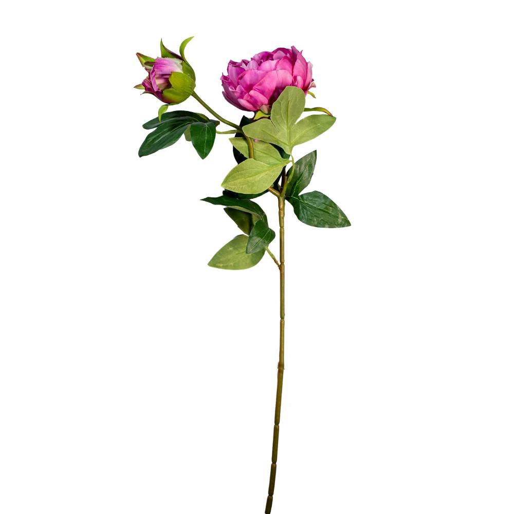 PEONIA SPRAY 1F 1B CM.70 LILLA