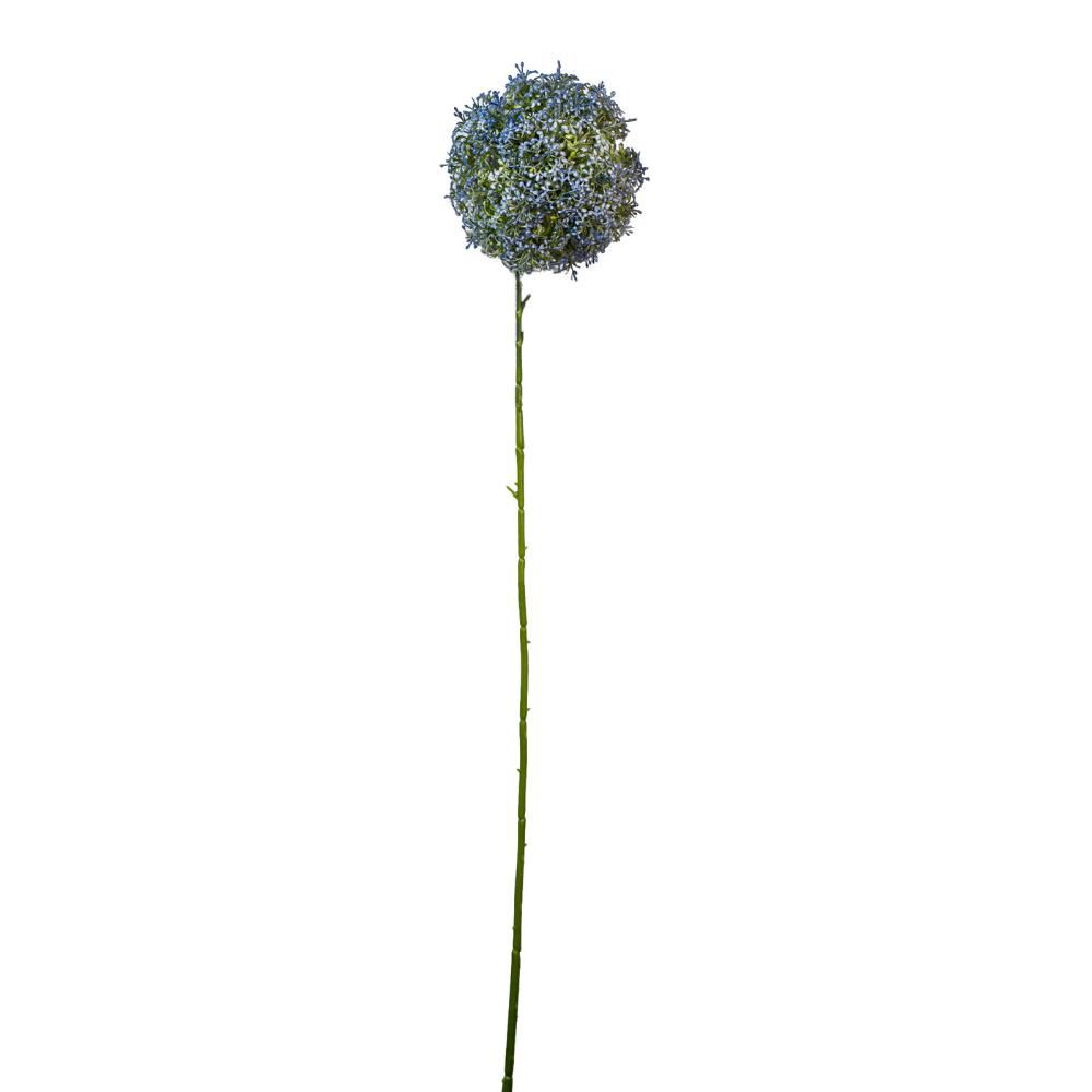 ALLIUM CM.65 BLU CHIARO