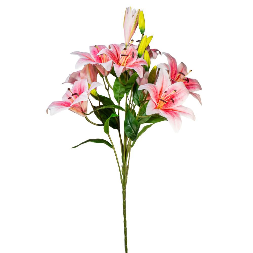 LILIUM BUSH 8X H.90 CM ROSA