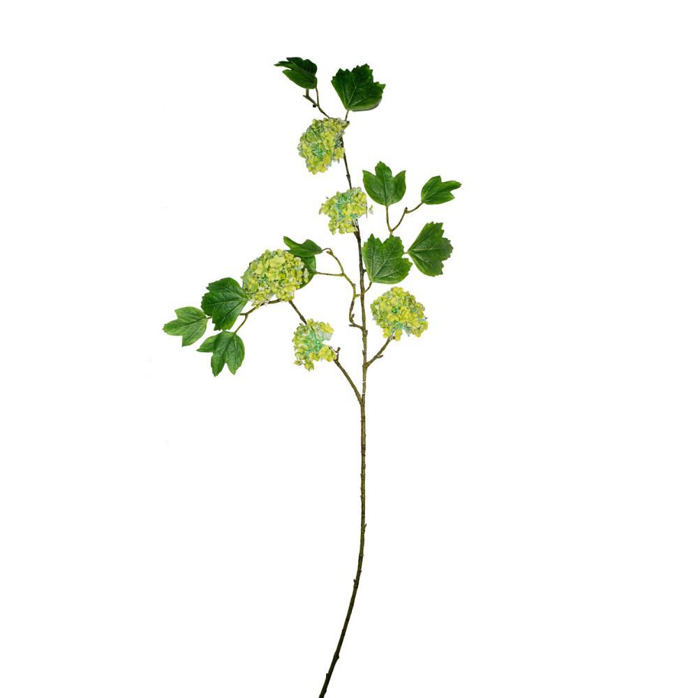 VIBURNO 5X CM.92 VERDE