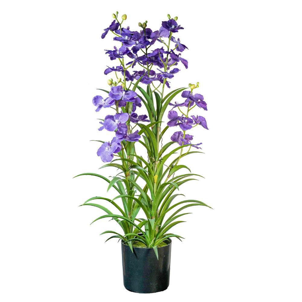 WANDA PIANTA C/VASO 6 RAMI CM.100 VIOLA