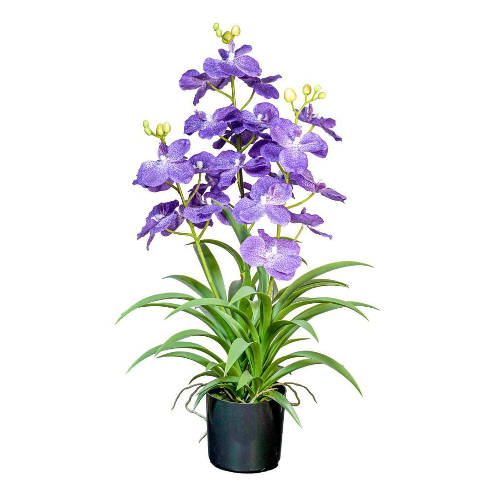 WANDA PIANTA C/VASO 3 RAMI CM.70 VIOLA