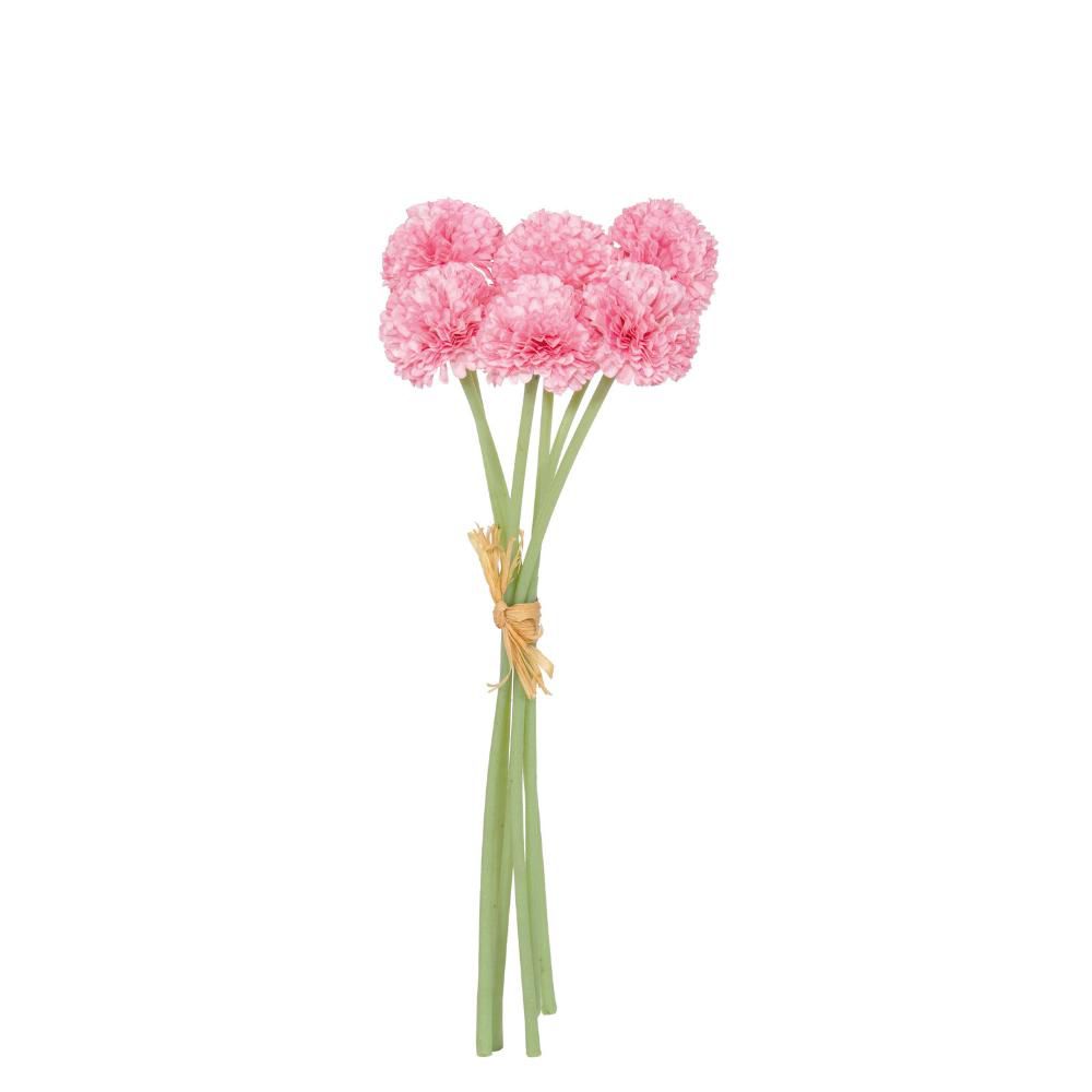 SET 12 BUSH 6 DALIE CM.27 ROSA