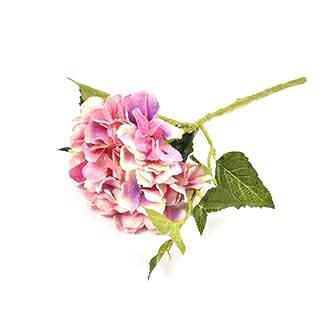 HYDRANGEA CM.44 ROSA HYDRANGEA CM.44 ROSA