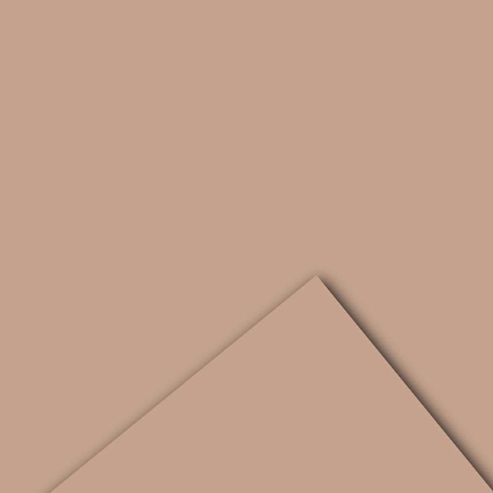 BOBINA PPL -VELVET- CM 100X20 MT 60MY TORTORA