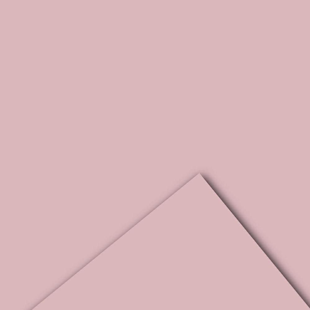 BOBINA PPL -VELVET- CM 100X20 MT 60MY ROSA ANTICO