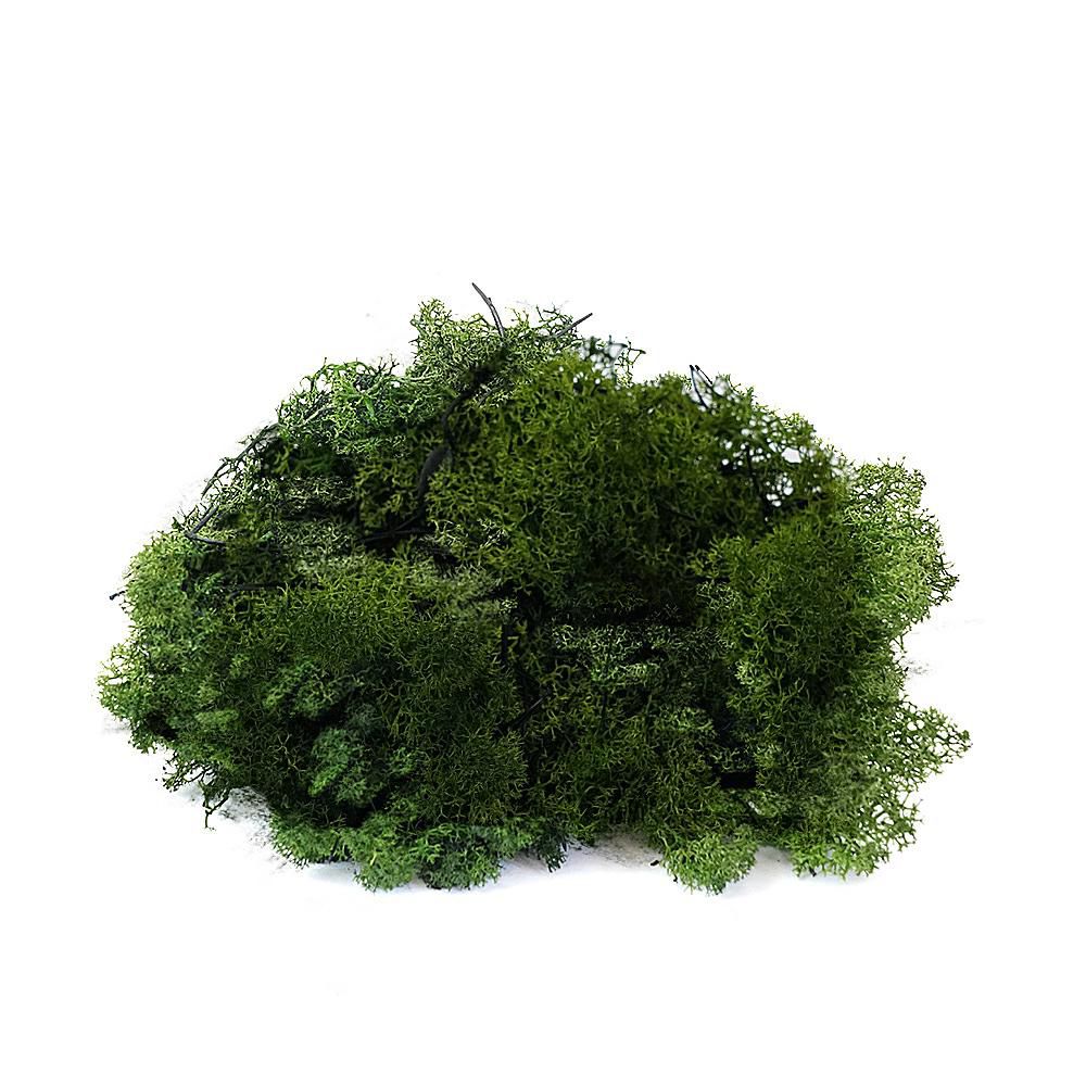 MUSCHIO NORDICO KG.10 VERDE MUSCHIO 73