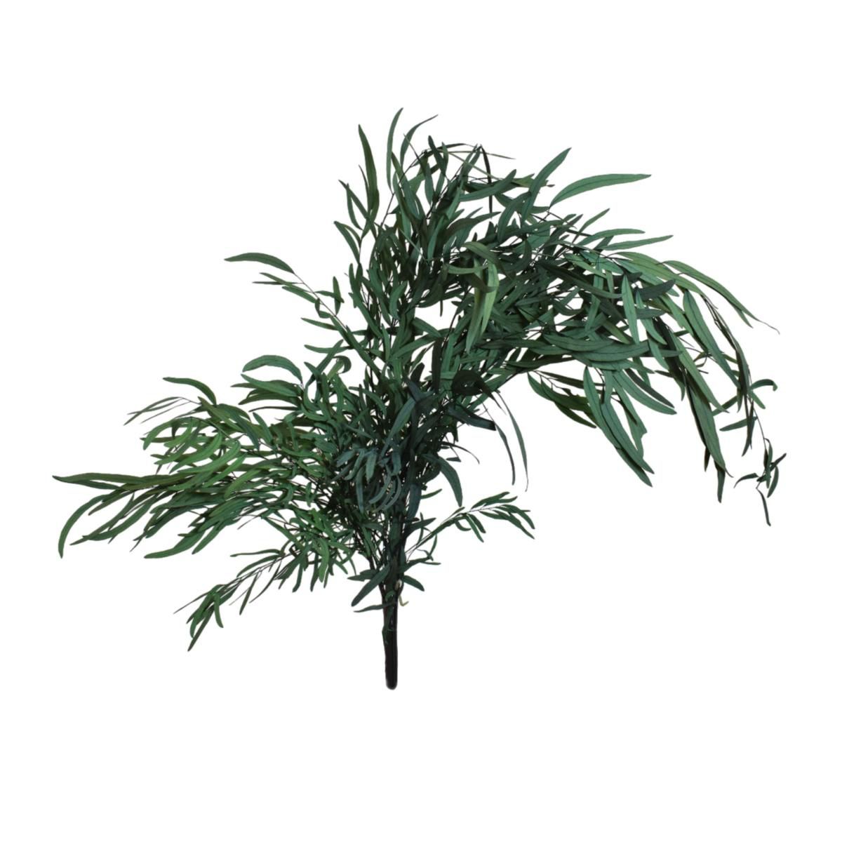 EUCALYPTO LONG LEAVES PRESERVATO GR.150 CM.75 VERDE
