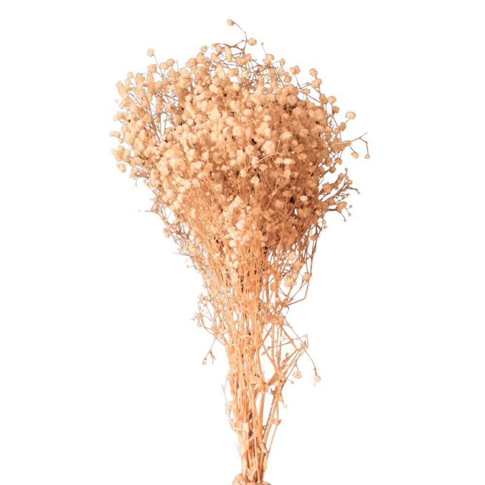 GYPSOPHILA PANICULATA SACCHETTO GR.100 CM.75 NATURALE/CREMA