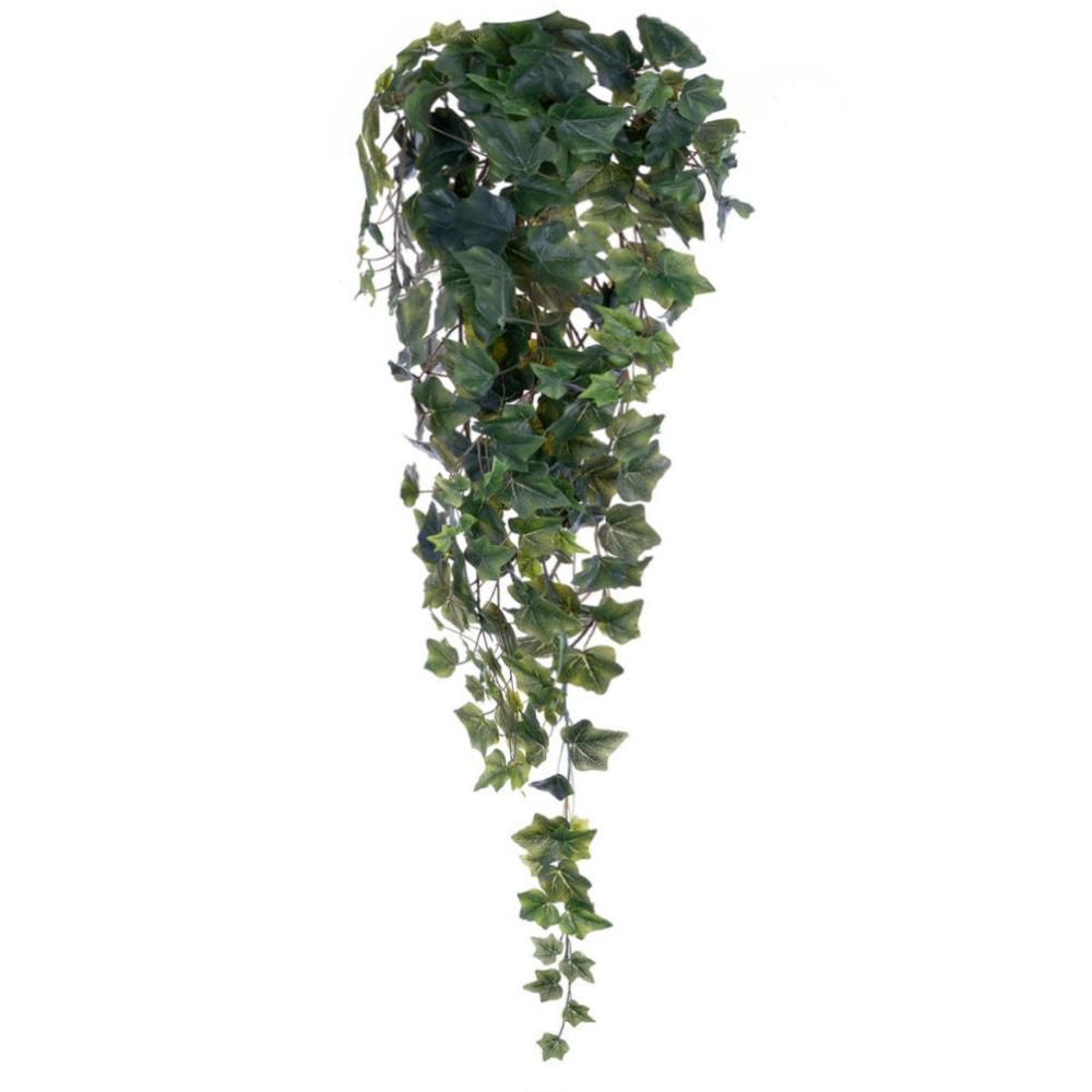 EDERA VITE BUSH 244F CM.96 VERDE