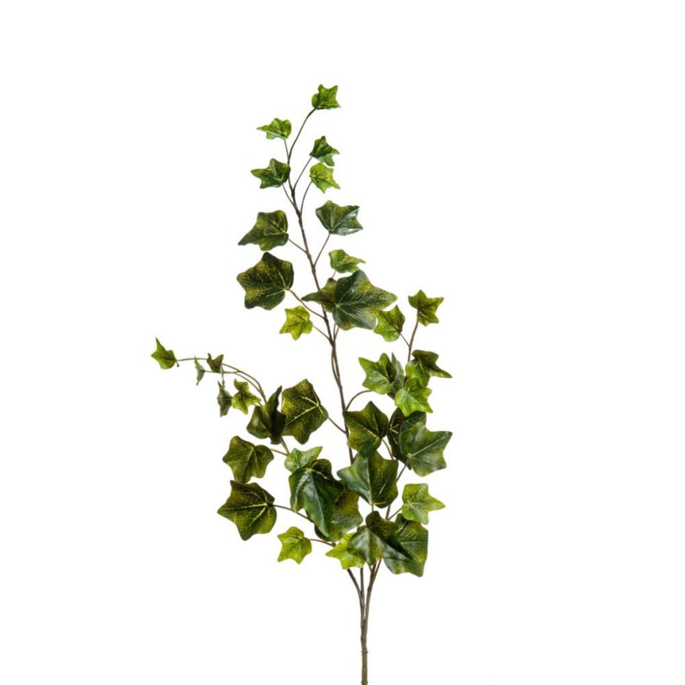 EDERA RAMO 3X CM.69 VERDE