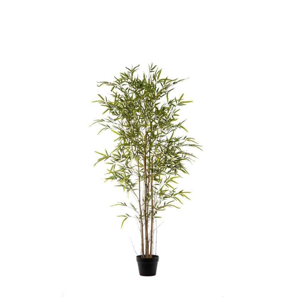 BAMBOO PIANTA C/VASO 1296F CM.150 VERDE