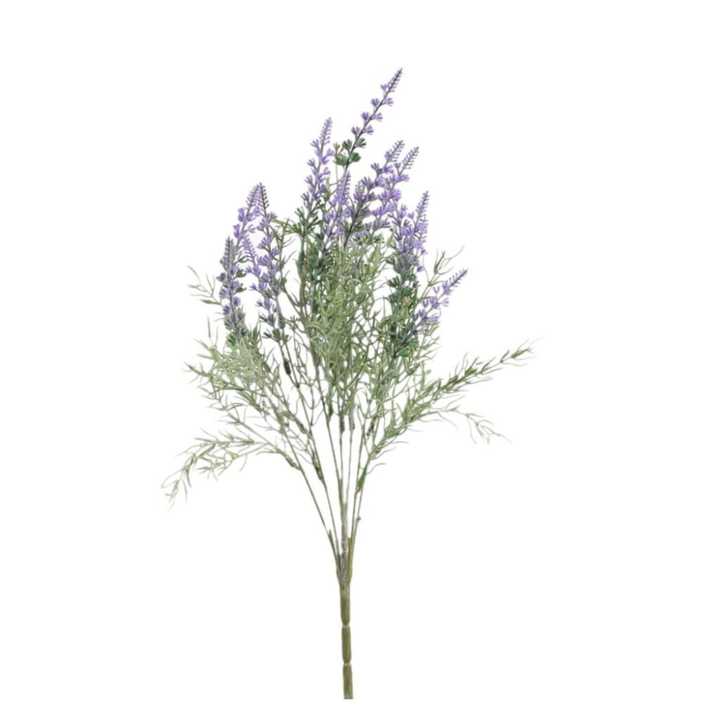 LAVANDA BUSH CM.46 LAVANDA LAVANDA BUSH CM.46 LAVANDA
