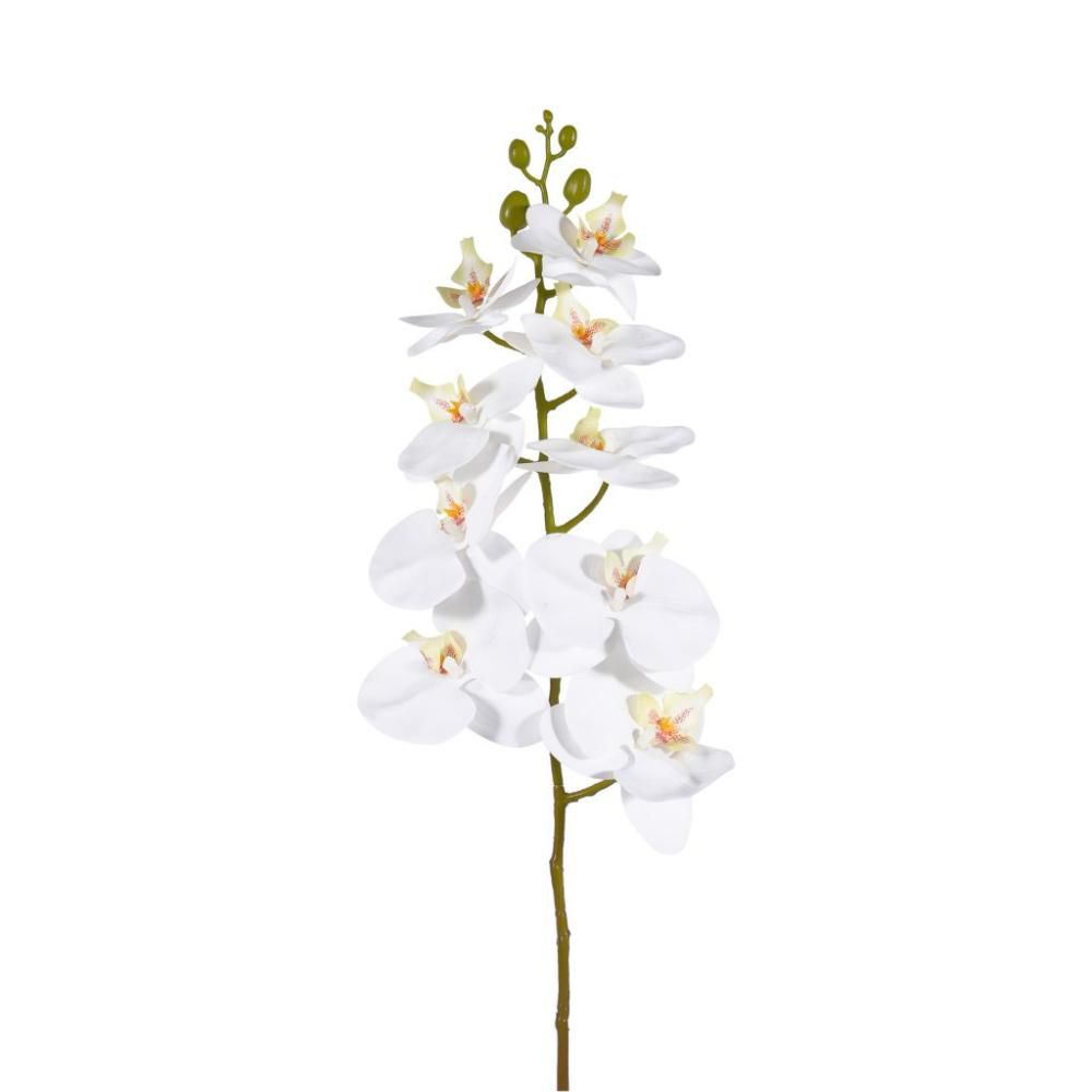 PHALAENOPSIS RAMO CM.105 BIANCO