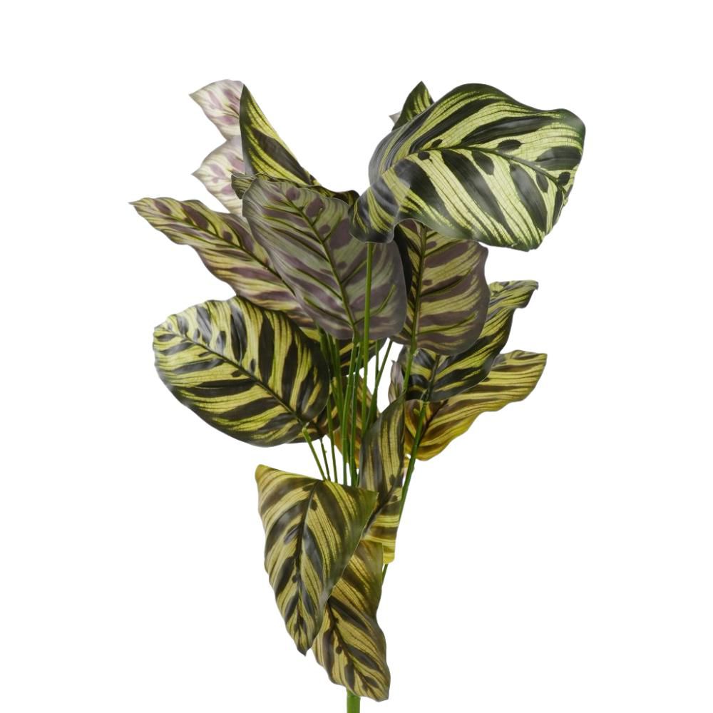 MARANTA FOGLIE BUSH X 18 CM.80 VERDE