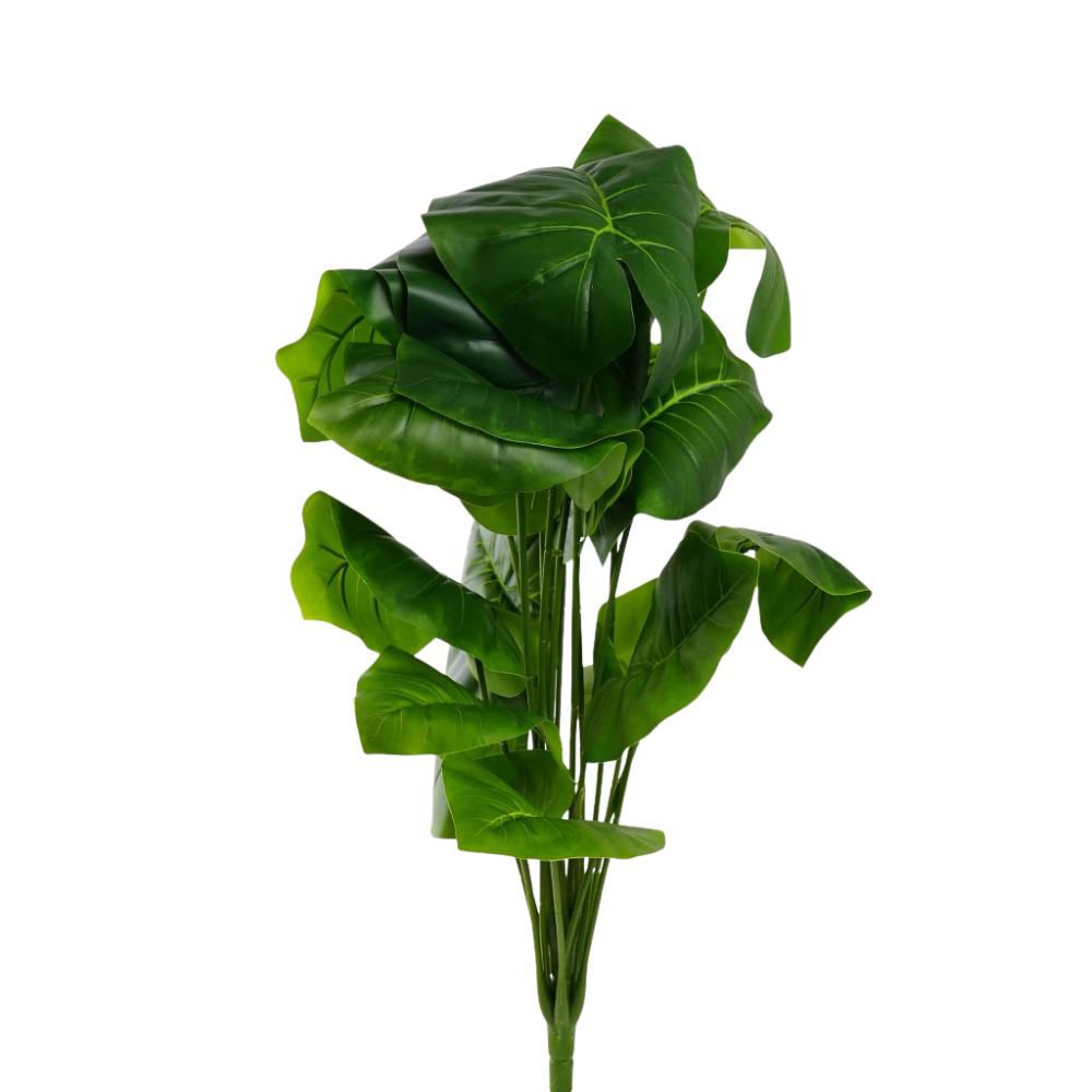 ALOCASIA FOGLIE BUSH X 18 CM.65 VERDE