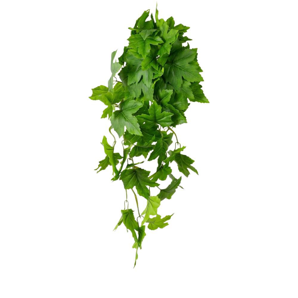 EDERA VITE BUSH CM.60 VERDE