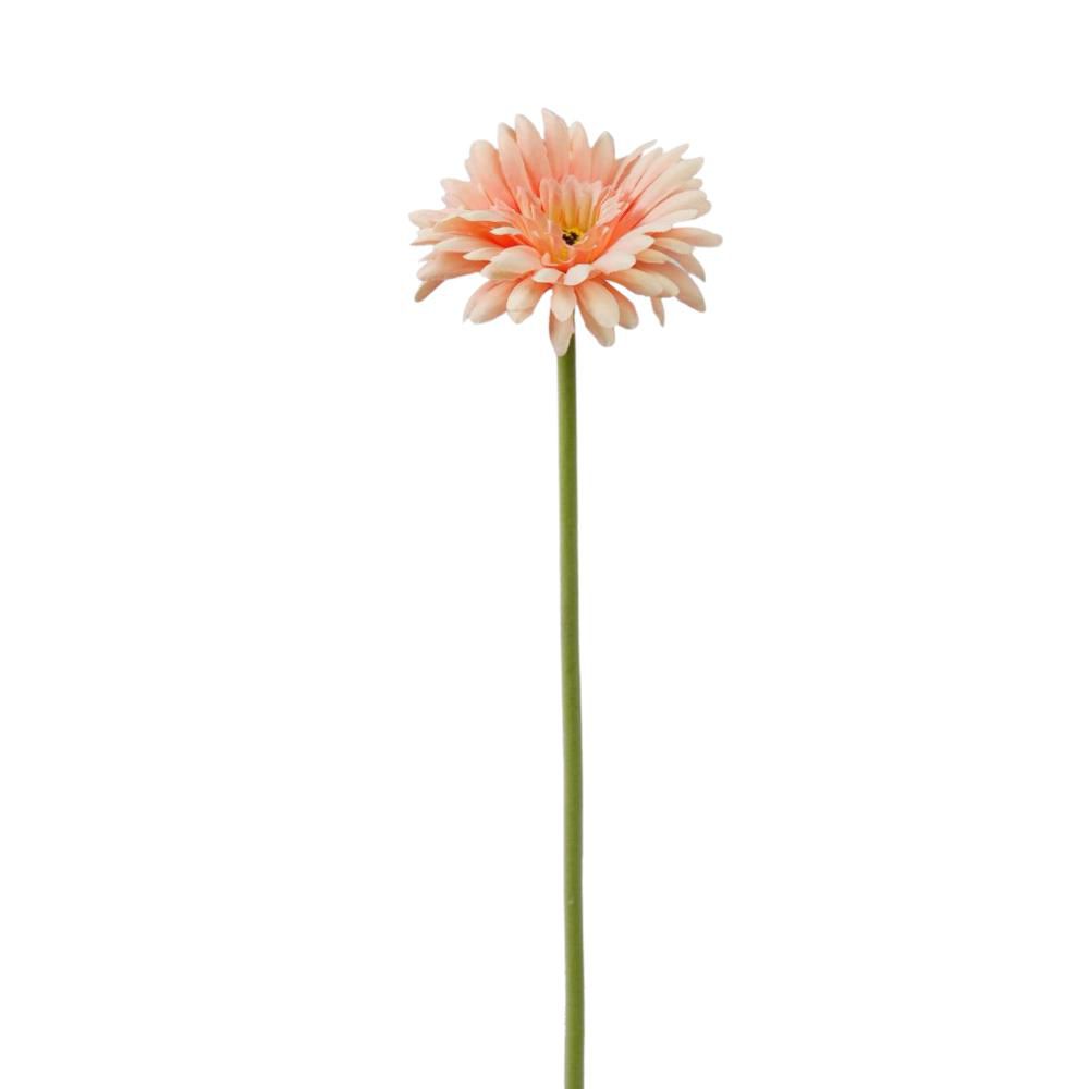 GERBERA SINGOLA CM.55 SALMONE