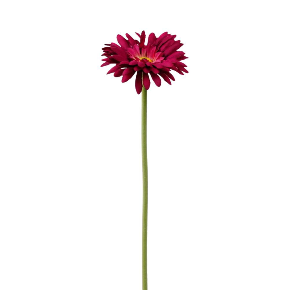 GERBERA SINGOLA CM.55 BEAUTY