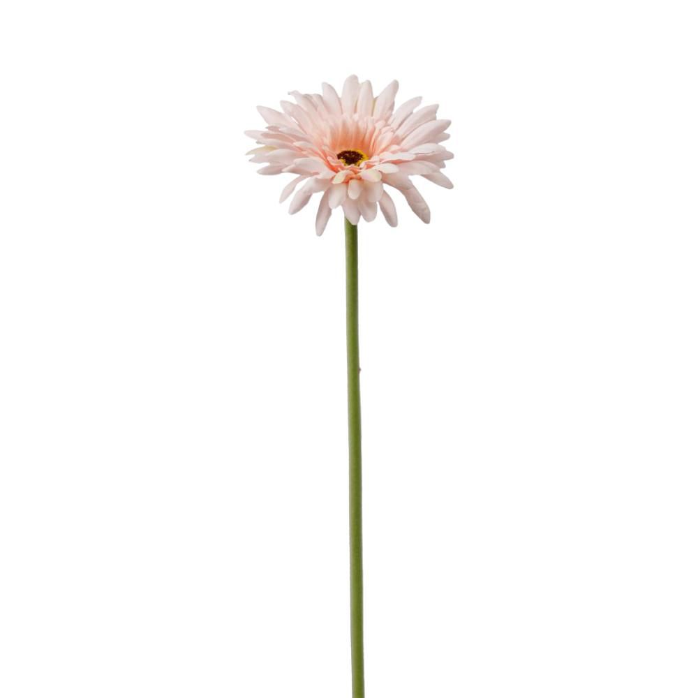 GERBERA SINGOLA CM.55 ROSA CHIARO