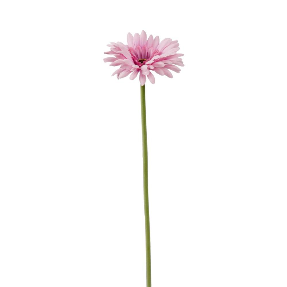 GERBERA SINGOLA CM.55 ROSA SCURO