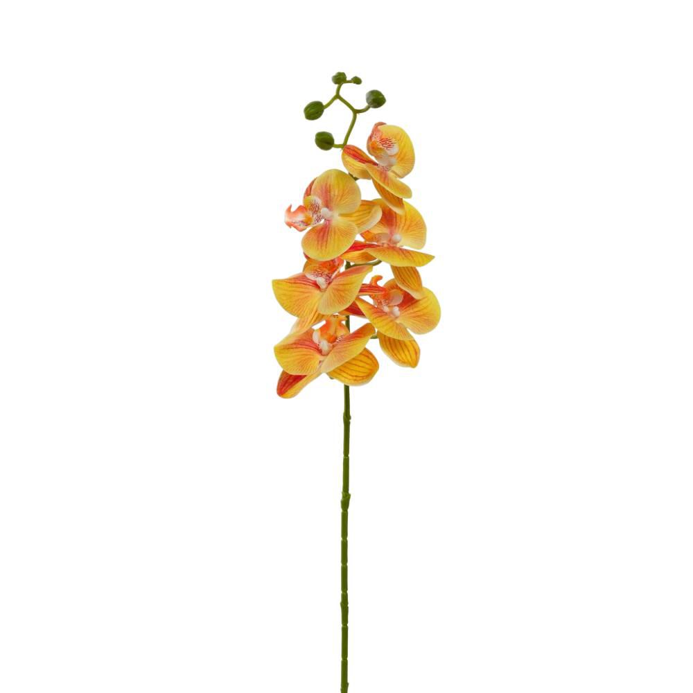 PHALAENOPSIS RAMO 6X CM.72 GIALLO