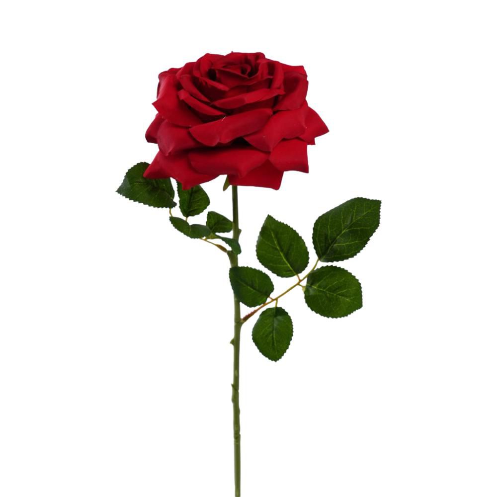 ROSA SILVIA CM.56 ROSSO