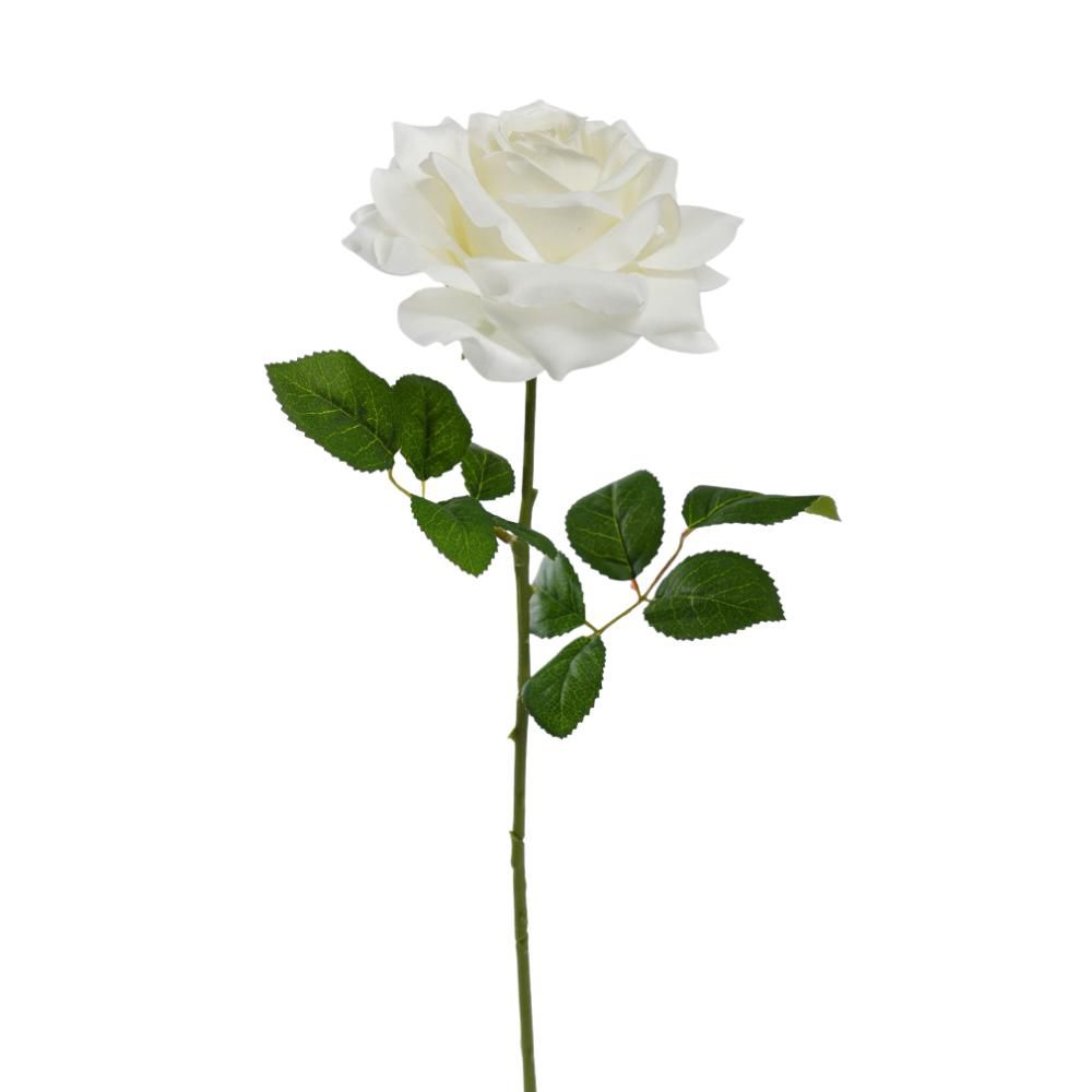 ROSA SILVIA CM.56 BIANCO ROSA SILVIA CM.56 BIANCO