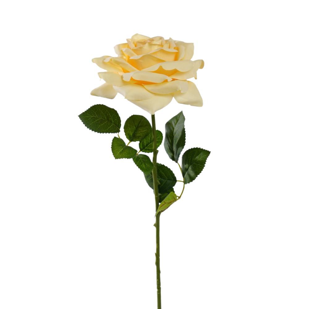 ROSA SILVIA CM.56 GIALLO