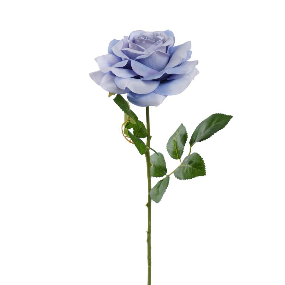 ROSA SILVIA CM.56 BLU