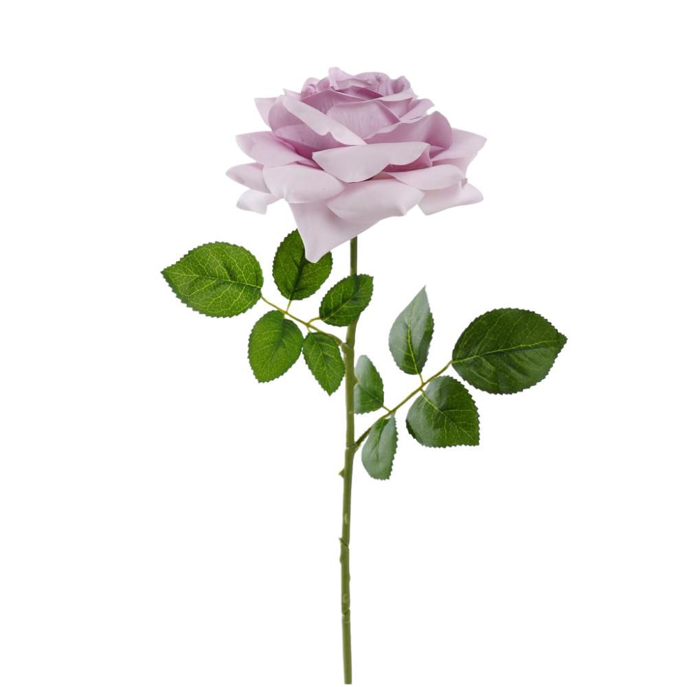 ROSA SILVIA CM.56 LAVANDA ROSA SILVIA CM.56 LAVANDA