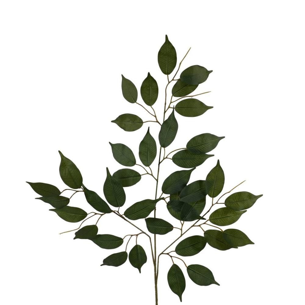 FICUS FOGLIA 42X CM.56 VERDE