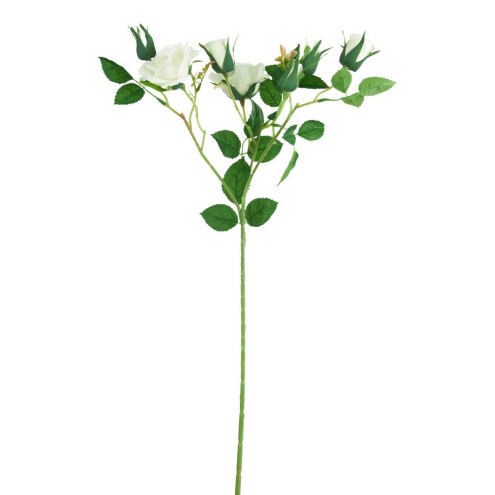 TRALCIO ROSA AIDA CM.60CREMA