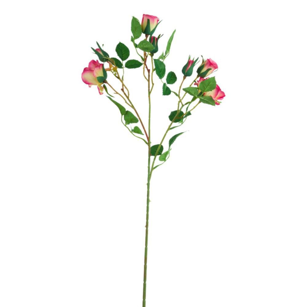 TRALCIO ROSA AIDA CM.60CORALLO