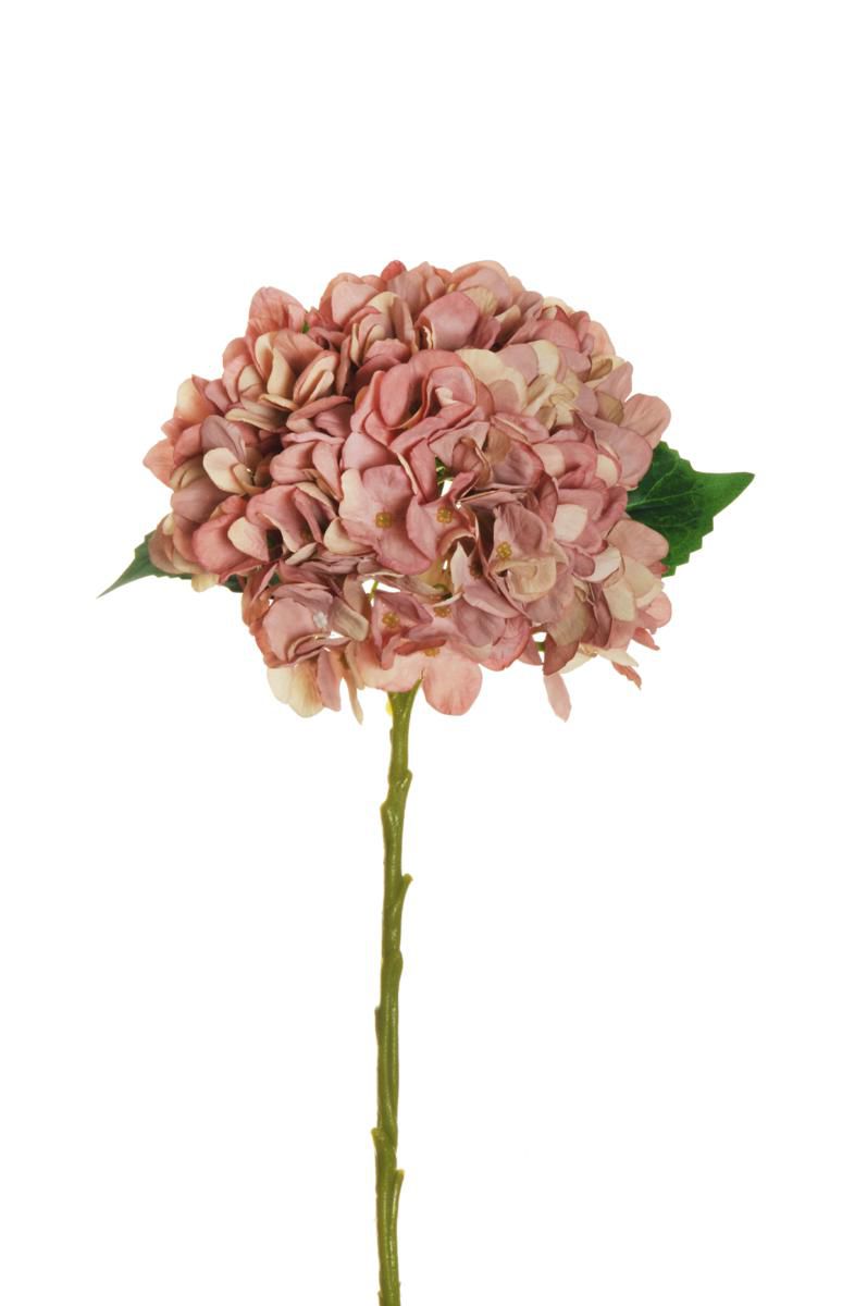 HYDRANGEA SPRAY 3F CM.50 MALVA/CREMA