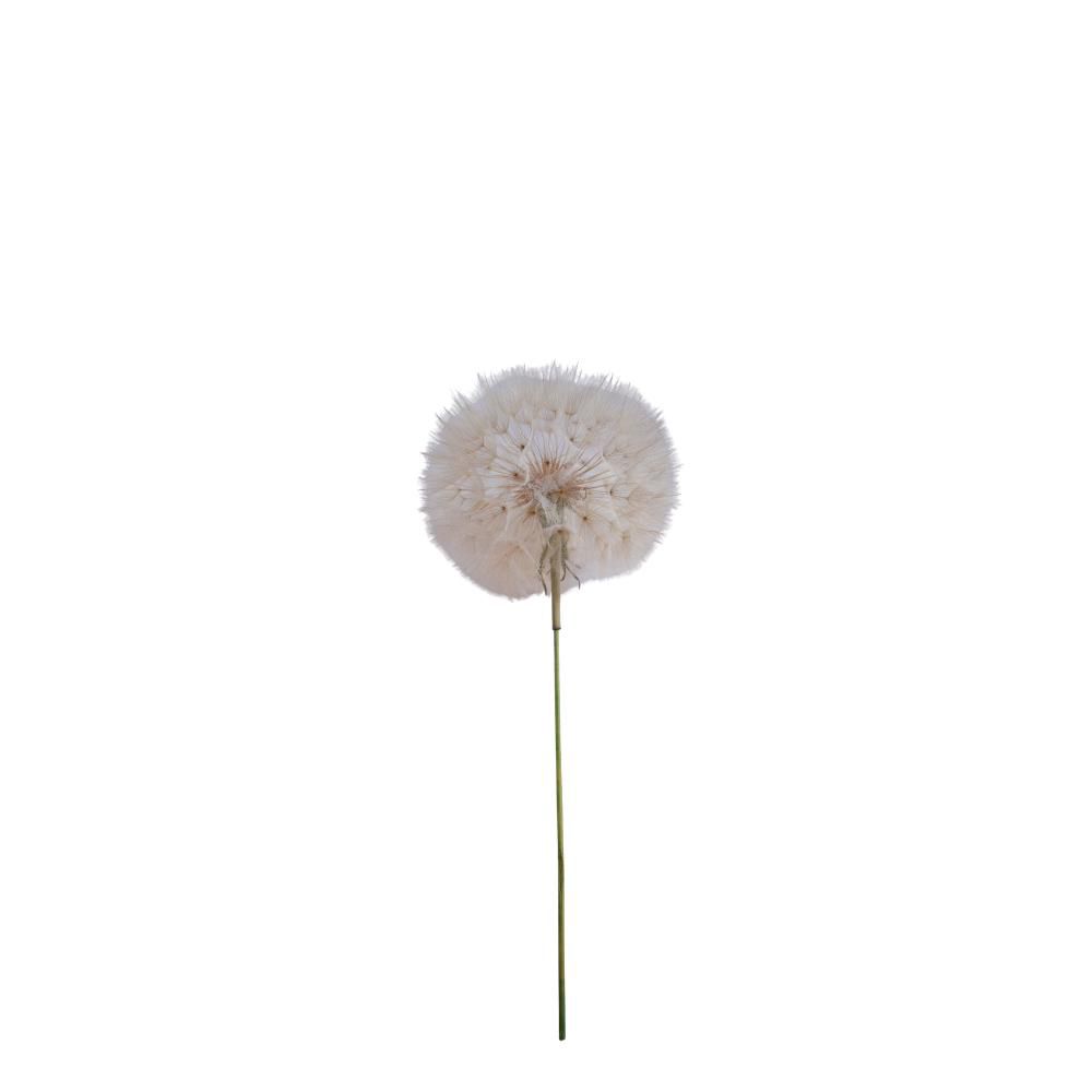 DANDELION FIORE D.11 CMH.12 CM 1 PZ. BIANCO