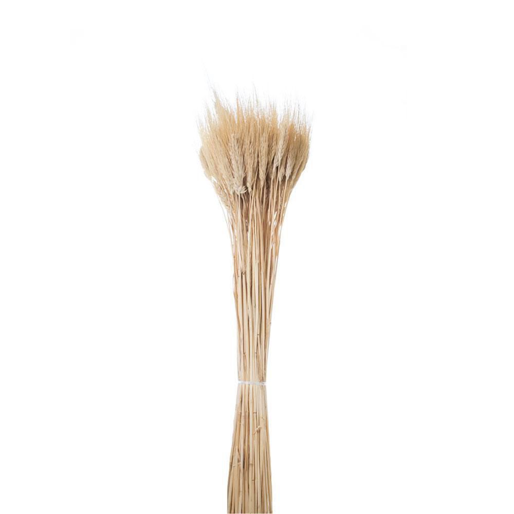GRANO BAFFO GR.400 CM.80 NATURALE