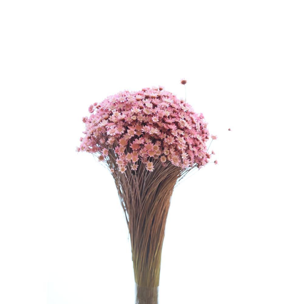 GLIXIA BREJEIRA GR.100 CM.50 ROSA/109