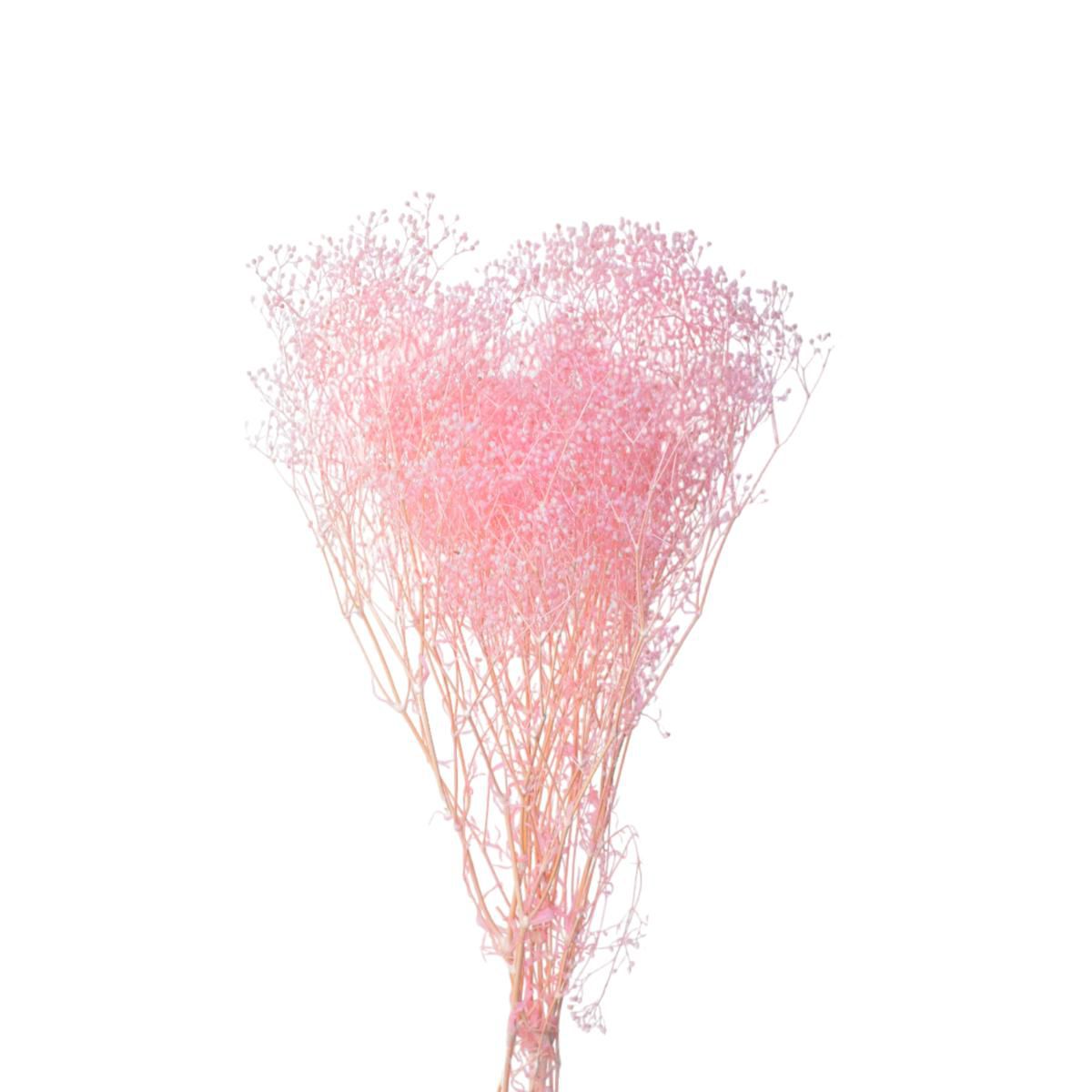 MINI GYPSOPHILA SACCHETTO GR.50 ROSA 109/P