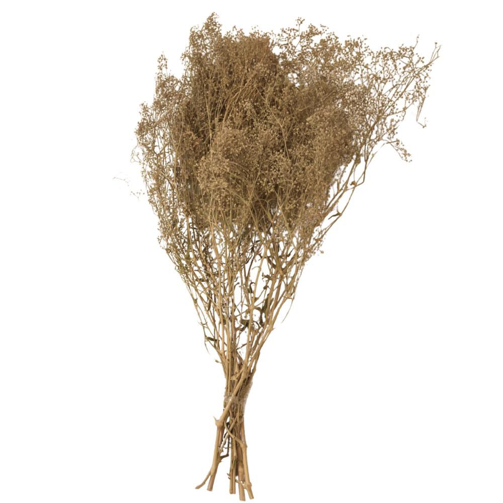 MINI GYPSOPHILA SACCHETTO GR.50 CM.52 NATURALE