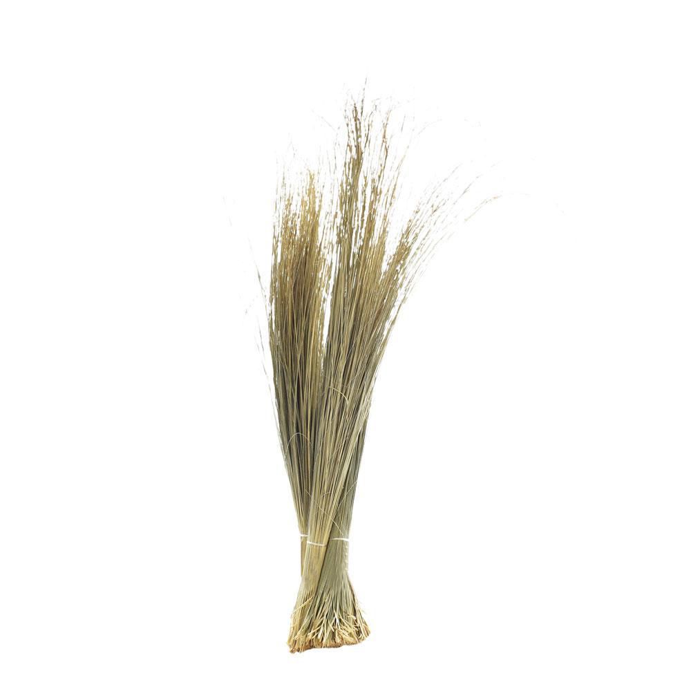 PAGLIA SALICCHIO CONF.KG.2 CM.110 NATURALE