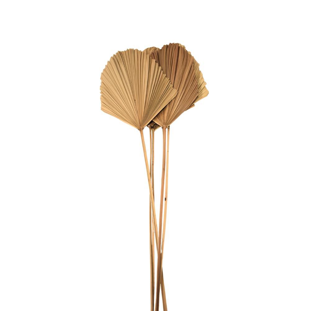 ANAO FAN SHAPE PZ.5 FOGLIA L.25 CM H.40 CM CM.100-110 NATURALE