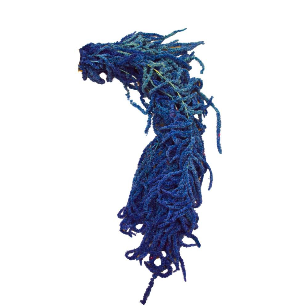 AMARANTHUS CAUD. GR.150CM.70 ZAFFIRO 122/P AMARANTHUS CAUD. GR.150CM.70 ZAFFIRO 122/P