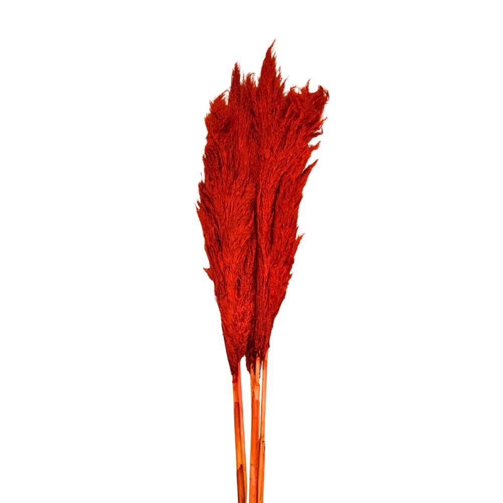 PAMPAS PZ.5 CM.110 ROSSO 10 PAMPAS PZ.5 CM.110 ROSSO 10