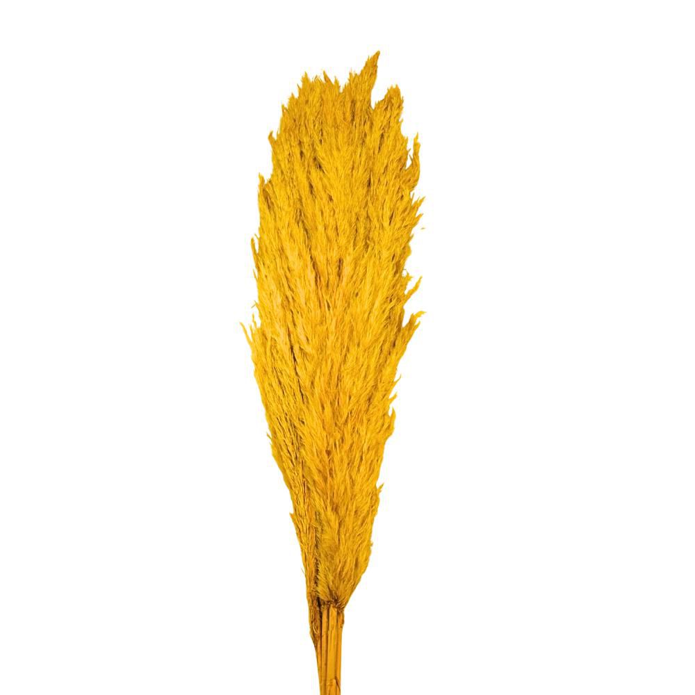 PAMPAS PZ.5 CM.110 GIALLO ORO 03