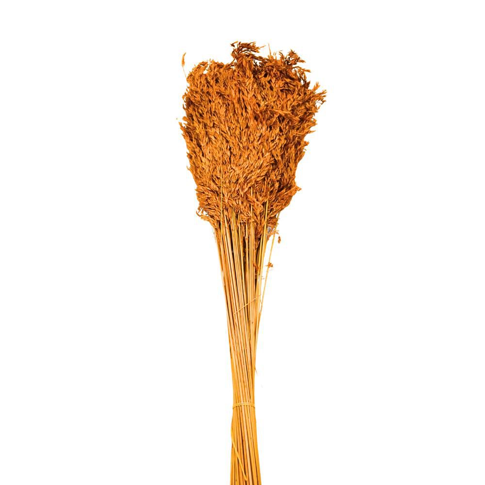 SALICCHIO LUNGO 1 KG CM.125 GIALLO ORO 03