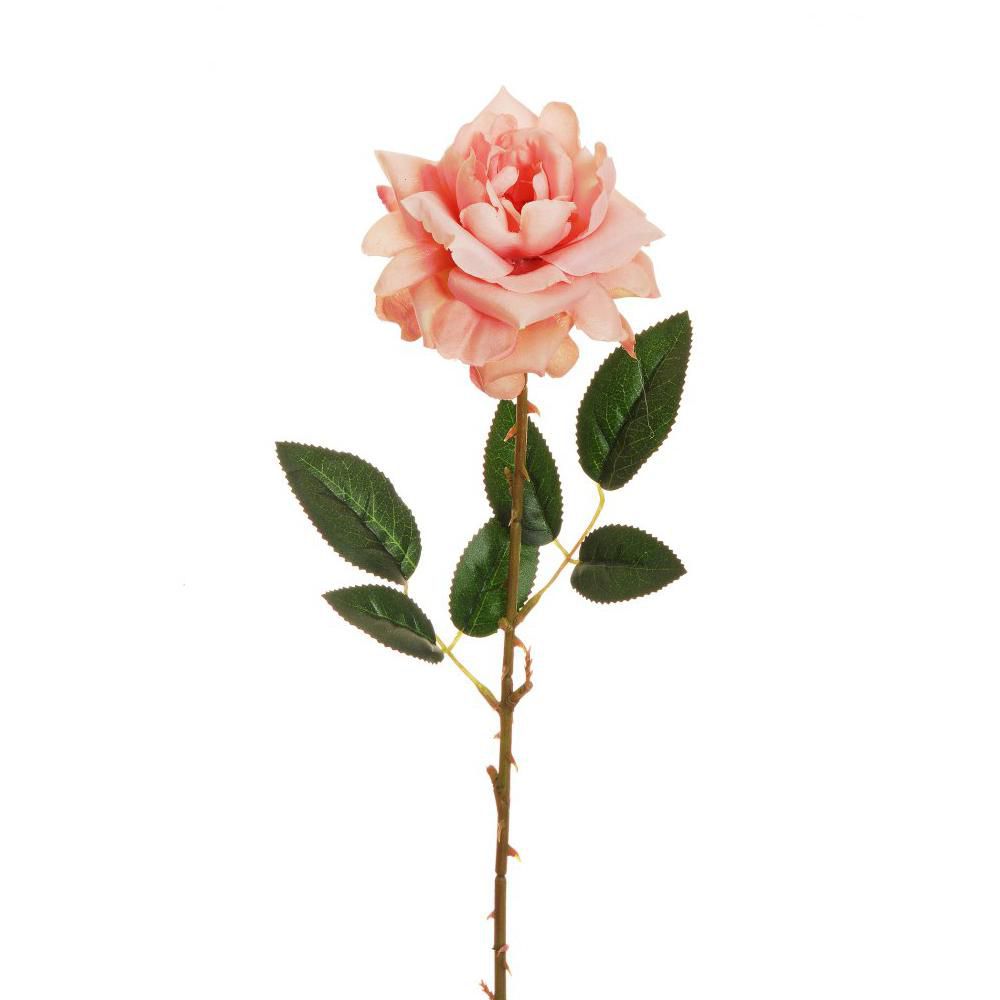 ROSA WILD CM.62 SALMONE