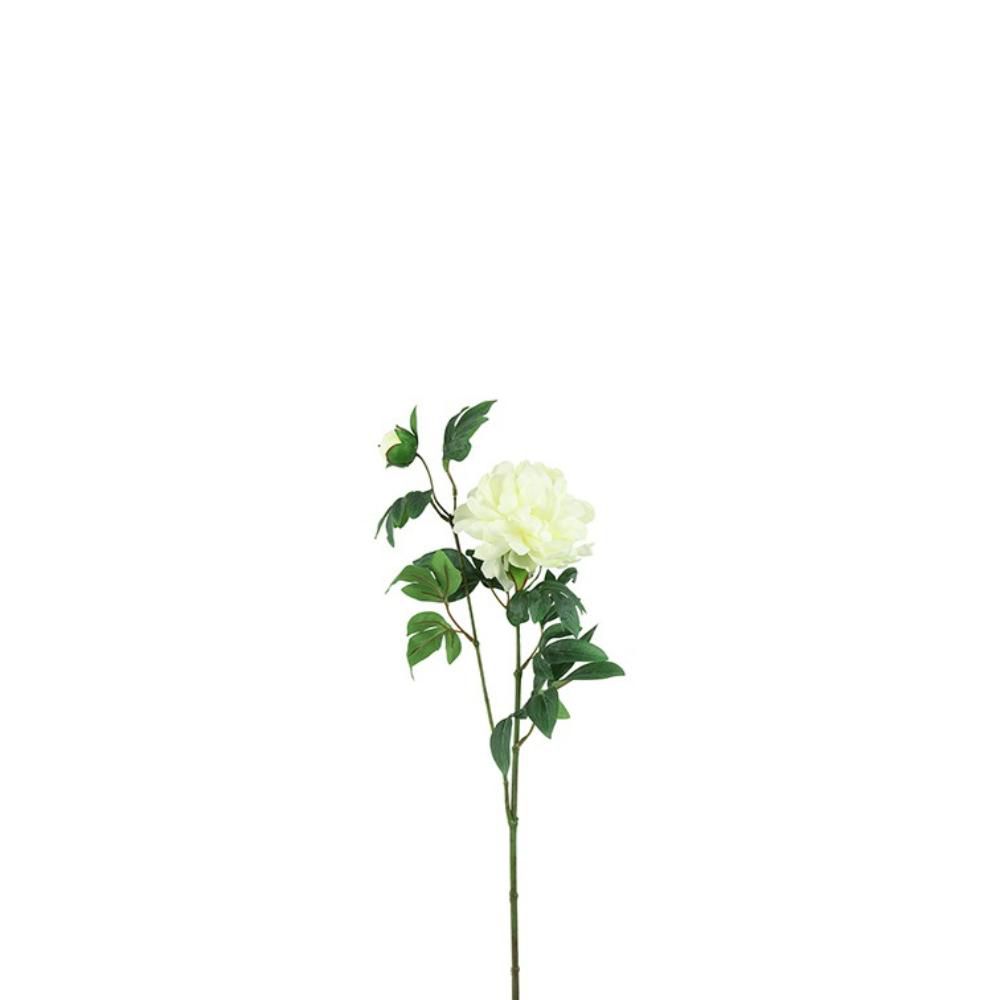 PEONIA SPRAY 1F 1B CM.68 BIANCO