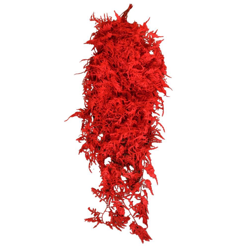 PLUMOSO-SPUNTONE MAZZO 10 STELI CM.100 ROSSO